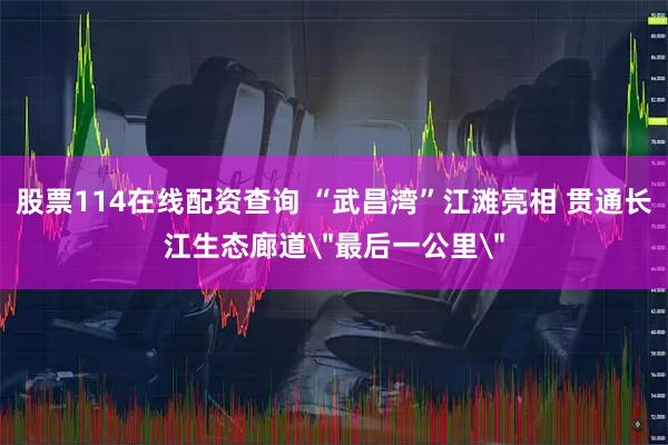 股票114在线配资查询 “武昌湾”江滩亮相 贯通长江生态廊道＂最后一公里＂