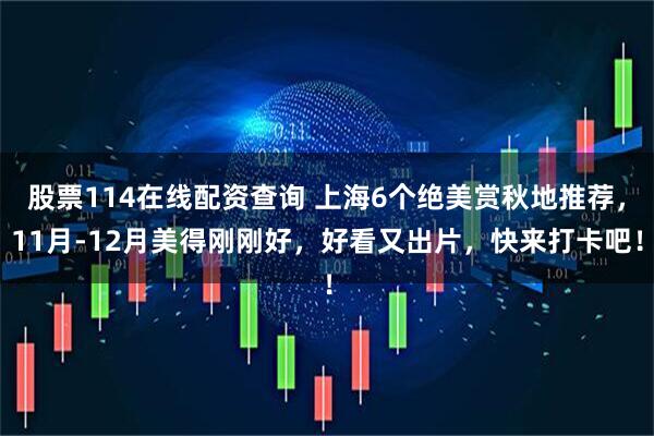 股票114在线配资查询 上海6个绝美赏秋地推荐，11月-12月美得刚刚好，好看又出片，快来打卡吧！