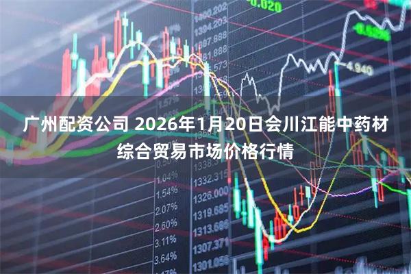广州配资公司 2026年1月20日会川江能中药材综合贸易市场价格行情