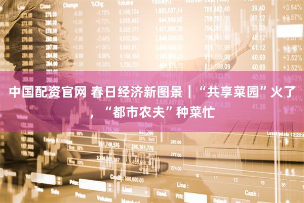 中国配资官网 春日经济新图景｜“共享菜园”火了，“都市农夫”种菜忙